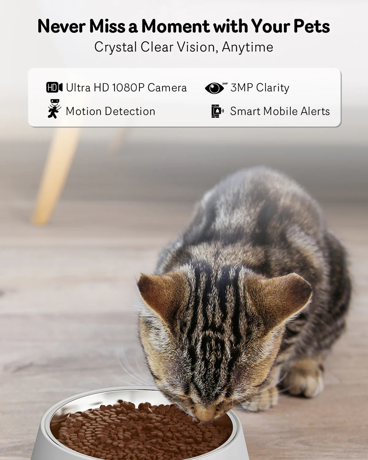 Automatic Cat Feeder With Camera - Monitor Your Pet Remotely
