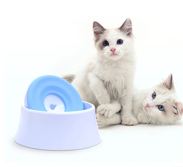 Automatic Pet Water Bowl - Splash-Free Design for Easy Hydration