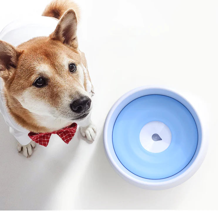 Automatic Pet Water Bowl - Splash-Free Design for Easy Hydration