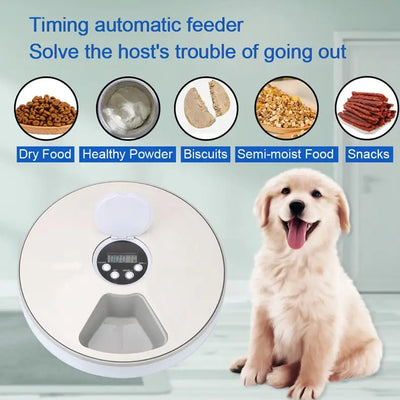 Automatic Pet Feeder with Voice Recorder and 6 Grids - Premium Quality